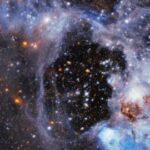 The Catholic Church, American labor unions, and the New Left